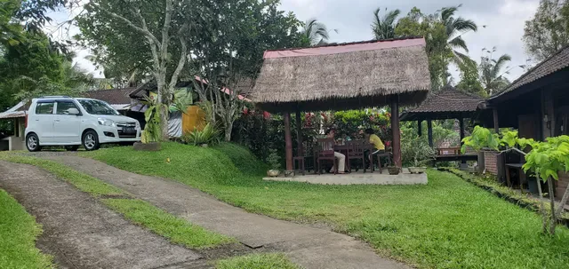 Warung Tepi Sawah