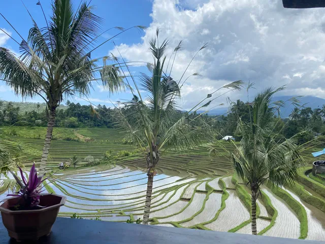 Warung Tepi Sawah
