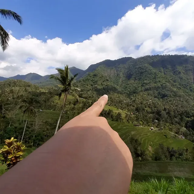 Fiji Coffee Bali