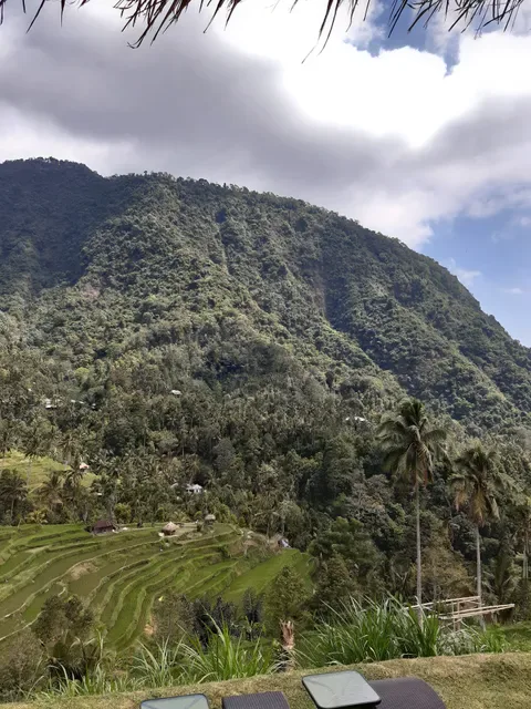 Fiji Coffee Bali