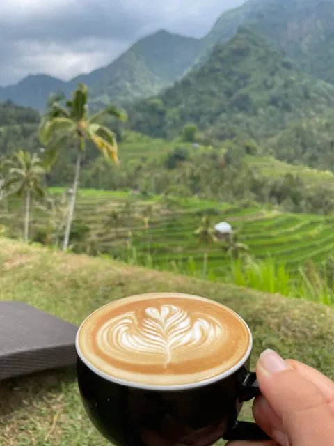 Fiji Coffee Bali