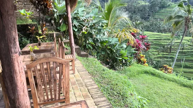 Fiji Coffee Bali