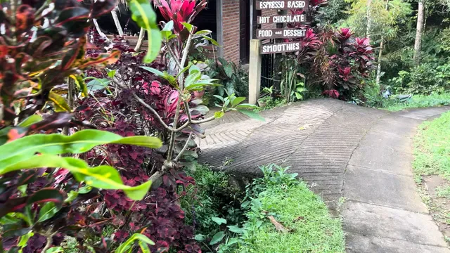 Fiji Coffee Bali