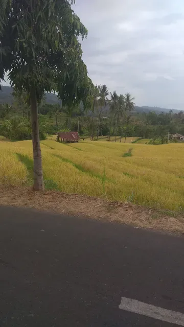 Alam Sambangan - The Secret Valley Club