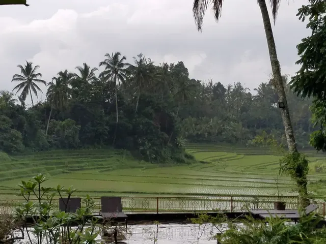 Cempaka Belimbing Villas