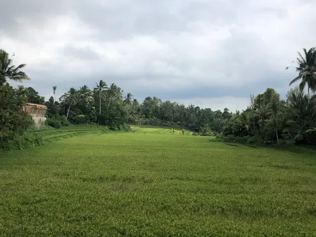 Cempaka Belimbing Villas
