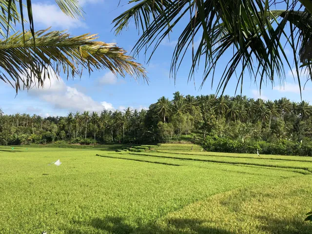 Cempaka Belimbing Villas