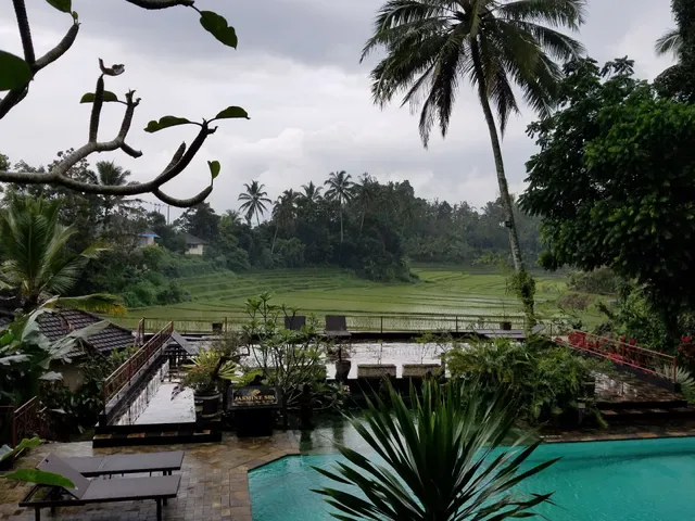 Cempaka Belimbing Villas