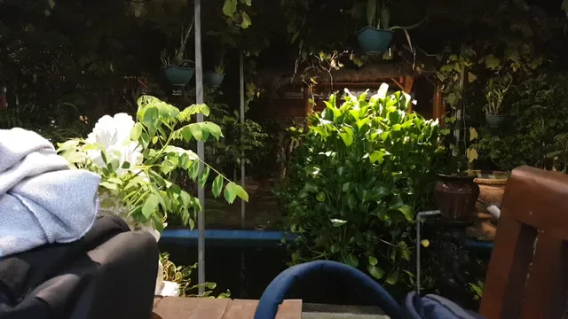 Warung Danau Batur Mujair Nyatnyat Tabanan