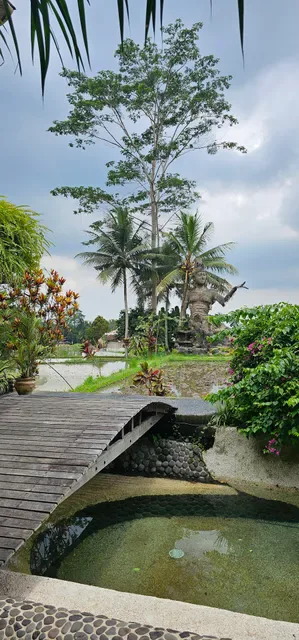 Akasha Restaurant & Venue