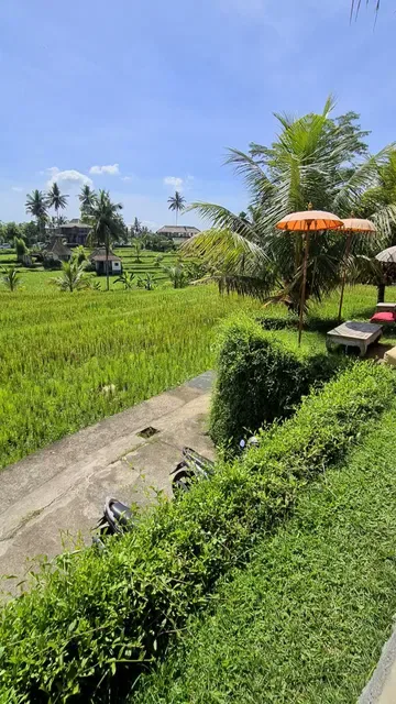 Bamboo Kitchen