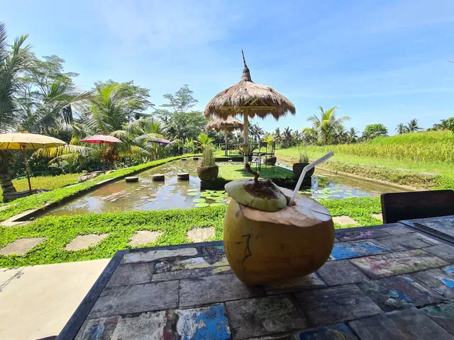 Bamboo Kitchen