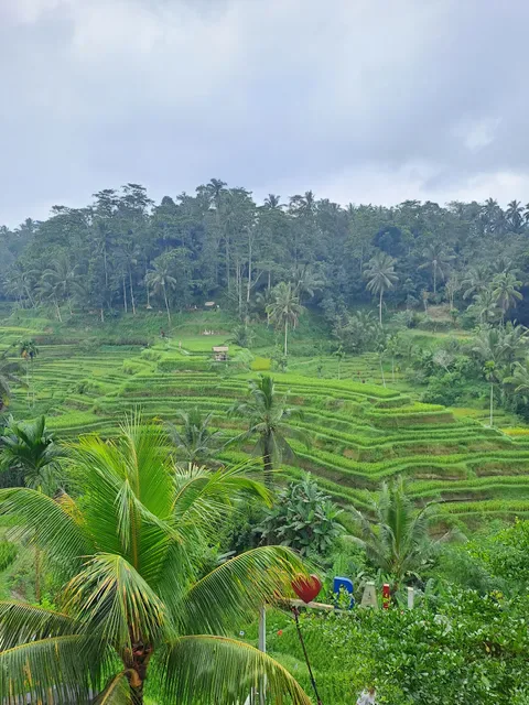 Carik Terrace Warung