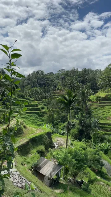 Carik Terrace Warung
