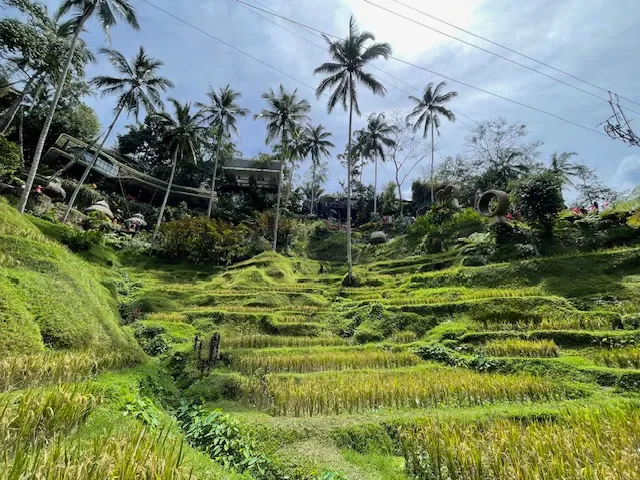 Cretya Ubud