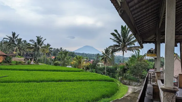 D'Pondok Warung