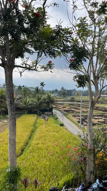 D'Pondok Warung