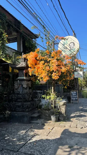 Ginger Flowers Cafe