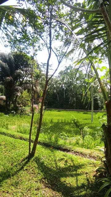 Labak Sari Restaurant