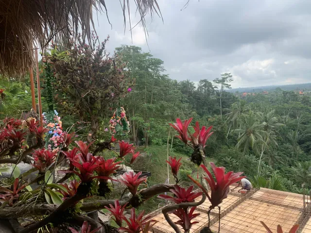 Sari timbul resto by kububali