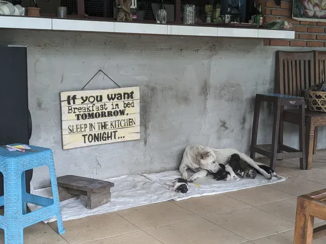 Mae Warung The Little tacoz Cafe