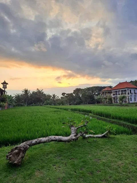 Bisma Sunset Corner