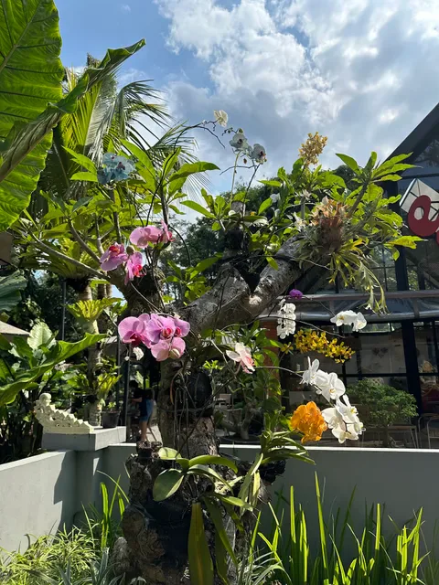 E2C Coffee & Eatery Ubud