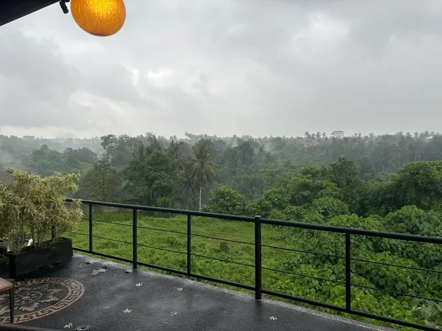 Indian Delites - Ubud