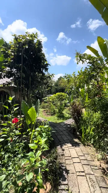Mana Kitchen Ubud