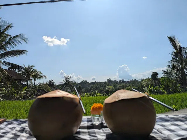 Warung Monkey