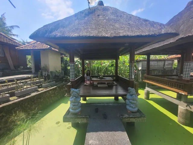 Warung Monkey