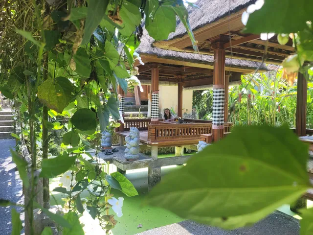 Warung Monkey