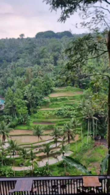 Sayan Point
