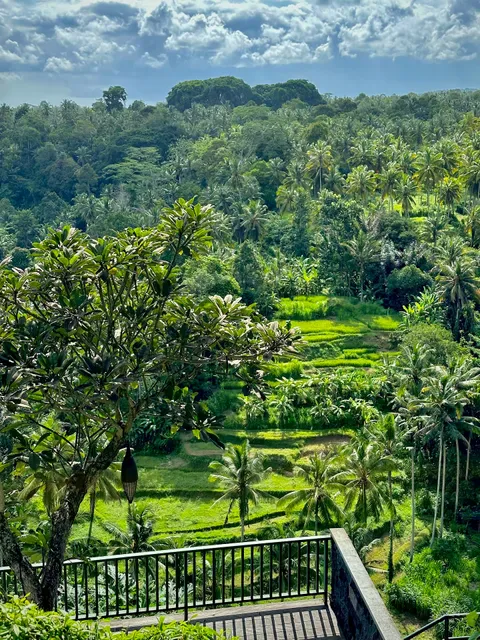 Sayan Point