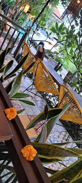 sun de bisma