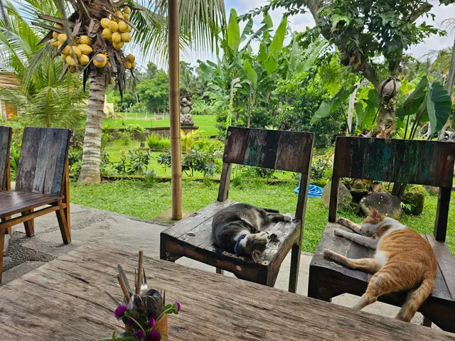 Sweet Orange Warung
