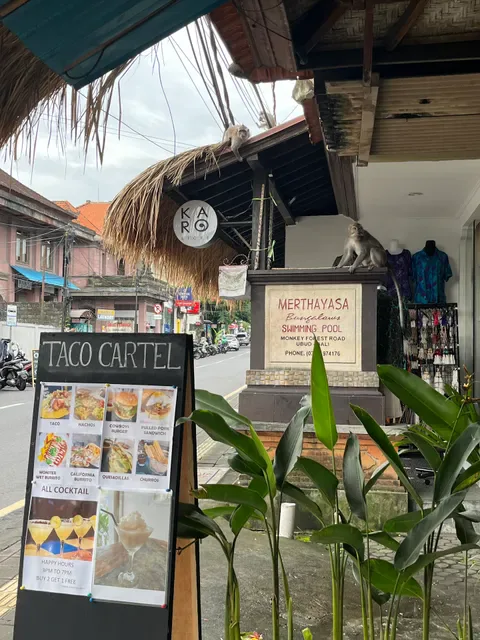 Taco Cartel