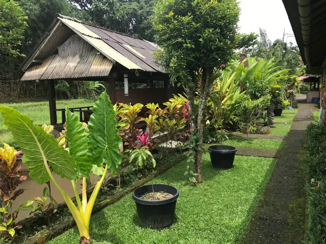 Warung Makan Beta Bali