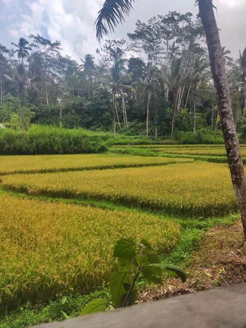Warung Pondok Bali
