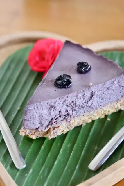 Wild Vegan Healing Restaurant
