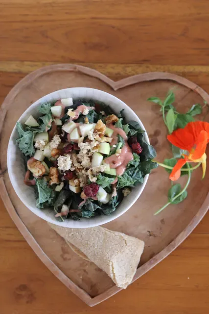 Wild Vegan Healing Restaurant