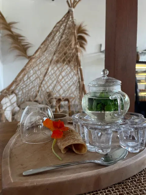 Wild Vegan Healing Restaurant