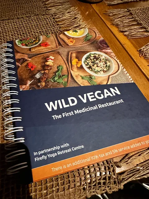 Wild Vegan Healing Restaurant