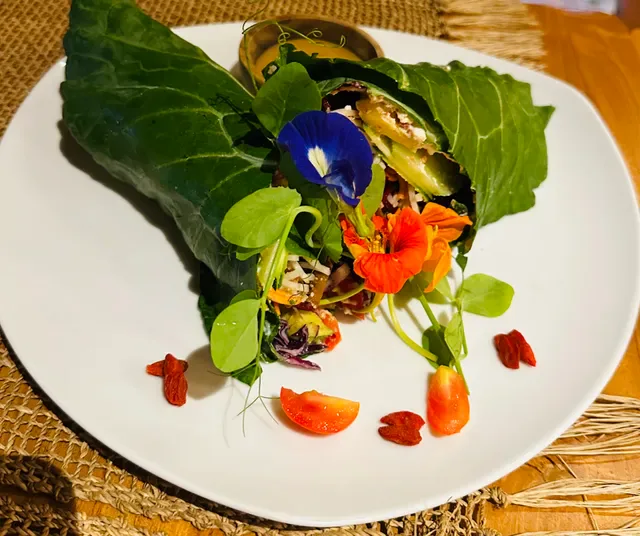 Wild Vegan Healing Restaurant