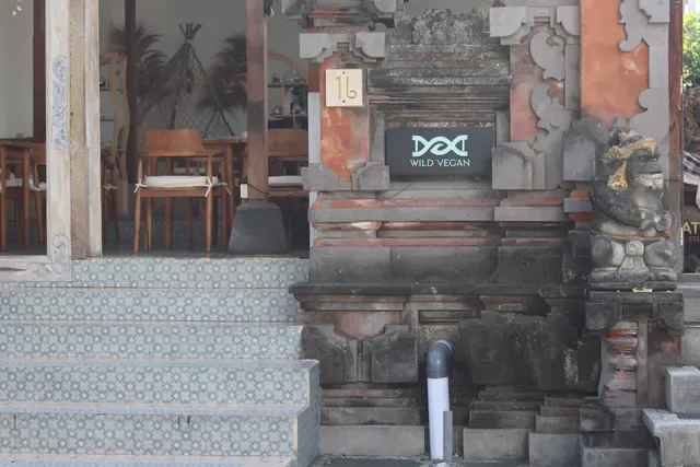 Wild Vegan Healing Restaurant