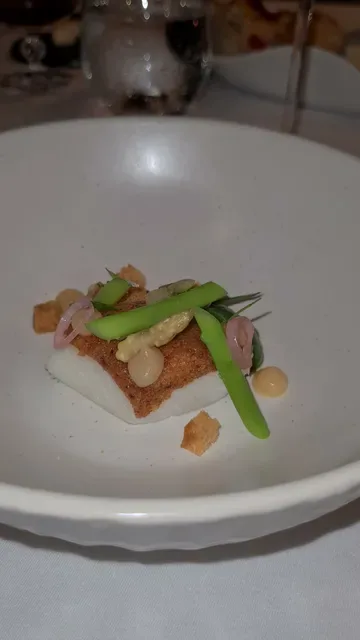 Cadence by Dan Bark