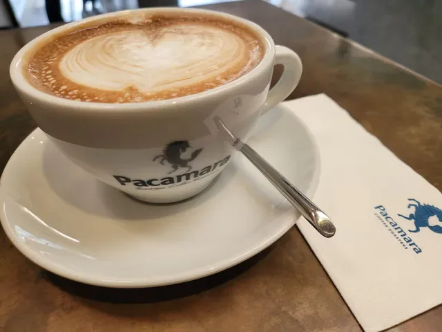 Pacamara Coffee Roaster Thonglor 25