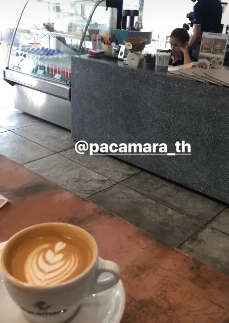 Pacamara Coffee Roaster Thonglor 25