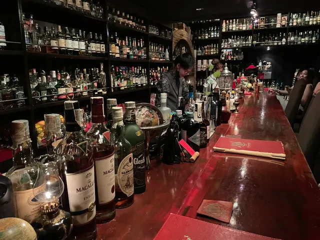The Bar Vagabond