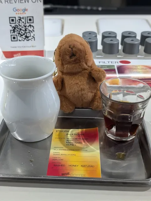 RISE COFFEE - Flagship Store